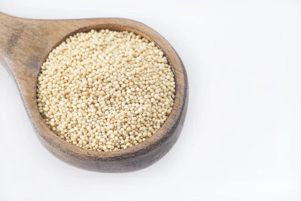 Tahta kaşık (Amaranthus solmayan çiçek tohumları)