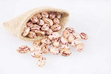 Pinto fasulye (Phaseolus vulgaris)