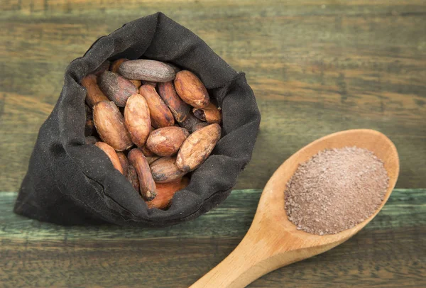 Seeds and cocoa powder - Theobroma cacao
