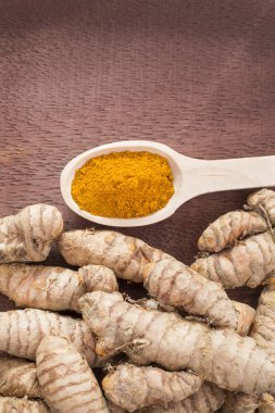 Kökleri ve zerdeçal tozu - Curcuma longa