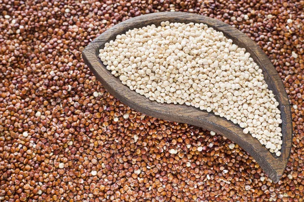 Rode en witte quinoa zaden - Chenopodium quinoa — Stockfoto