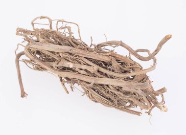 Medicinal roots de zarzaparrilla - Smilax aspera clipart