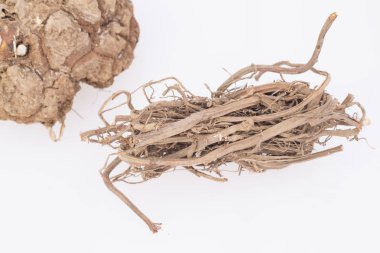 Tıbbi kökler de zarzaparrilla - Smilax aspera