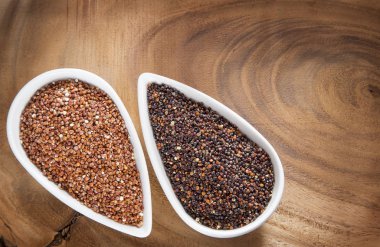 Kırmızı ve siyah quinoa - Chenopodium quinoa tohumları