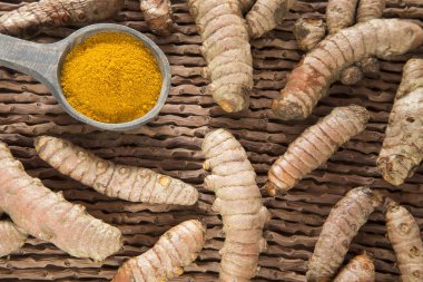 Kökleri ve zerdeçal tozu - Curcuma longa