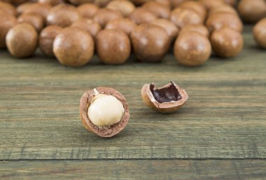 Macadamia fıstığı (Macadamia integrifolia)