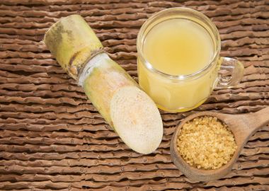 Şekeri, suyu ve şeker kamışı - Saccharum officinarum