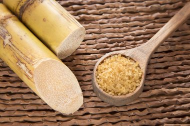 Tozu ve şeker kamışı - Saccharum officinarum