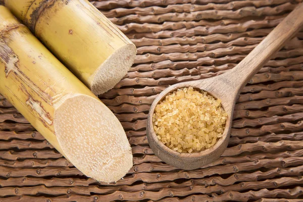 Tozu ve şeker kamışı - Saccharum officinarum