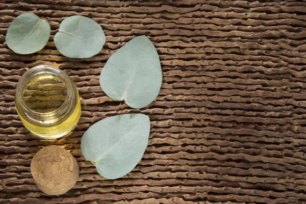 Okaliptüs yaprakları ve petrol (Okaliptüs cinerea)