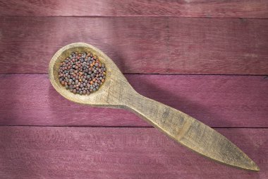 Siyah hardal tohumu - Brassica nigra