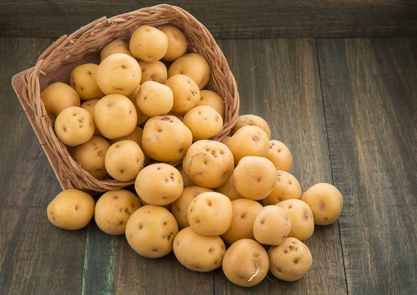 Gula potatis (Solanum phureja) — Stockfoto