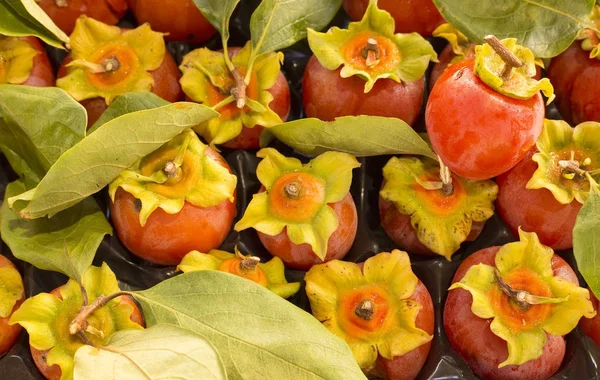 Kakis de frutas frescas - Diospyros kaki — Foto de Stock