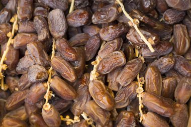 Süpermarkette - Phoenix dactylifera tarihleri