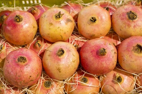 석류 맛 있는 과일-포에니 granatum — 스톡 사진