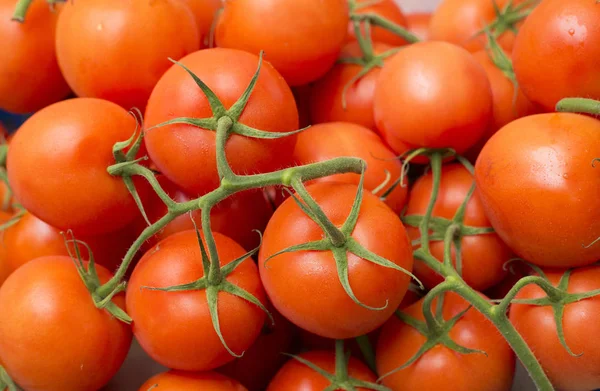 Tomates rojos en el supermercado - Solanum lycopersicum — Foto de Stock