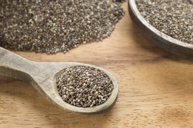 Chia tohum - Salvia hispanica