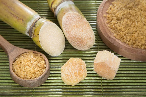 Tozu ve şeker kamışı - Saccharum officinarum