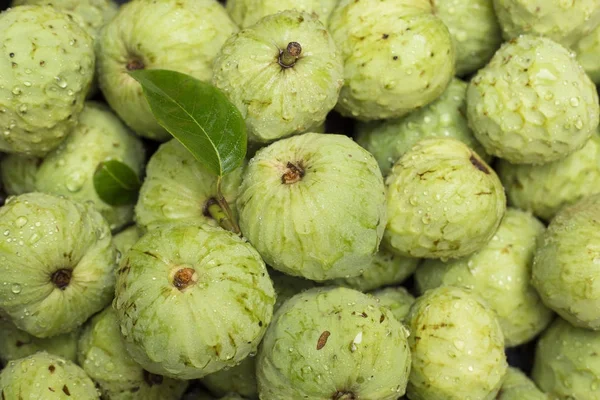 cherimoya meyve (annona cherimola)