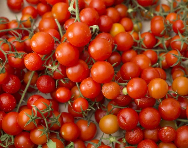 Tomates cherry en el mercado - Solanum lycopersicum var. cerasiforme — Foto de Stock