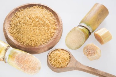 Tozu ve şeker kamışı - Saccharum officinarum