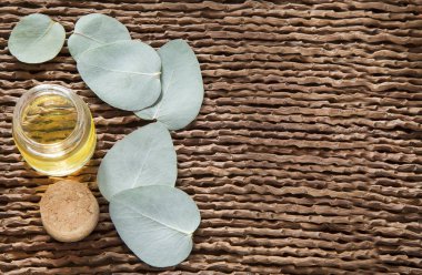 Okaliptüs yaprakları ve petrol (Okaliptüs cinerea)