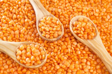 Çiğ kırmızı mercimek - Lens culinaris