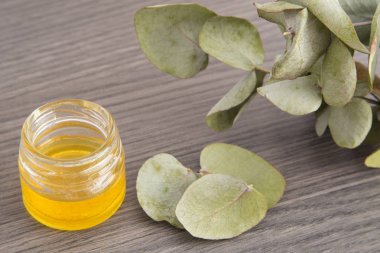 Okaliptüs yaprakları ve petrol (Okaliptüs cinerea)