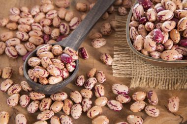 Pinto fasulye (Phaseolus vulgaris)