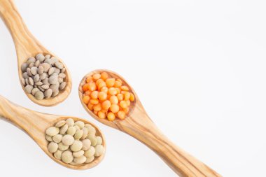 Mercimek - Lens culinaris üç tür