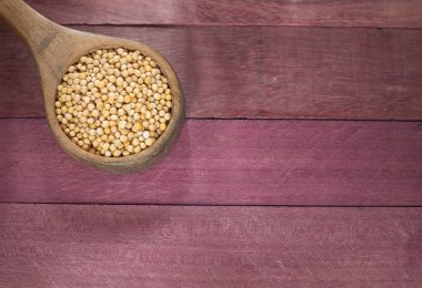 Hardal tohumu - Sinapis alba sarı