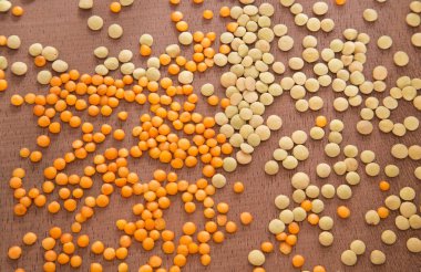 Mercimek - Lens culinaris iki tür