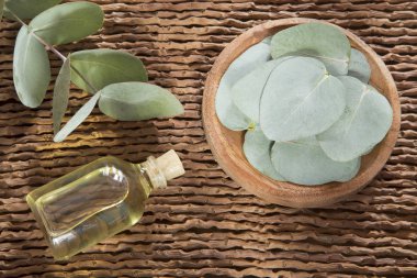 Okaliptüs temel yağlar cam şişe, organik bitkisel aromaterapi kavramı