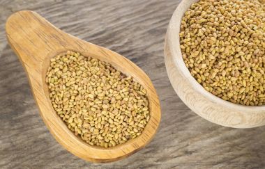 Filiz yonca tohumu - Medicago sativa