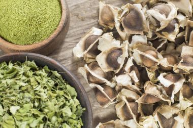 Moringa 'da besleyici besin maddesi Moringa oleiferası