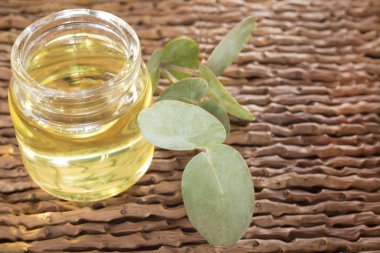 Taze okaliptüs yaprağı yağı