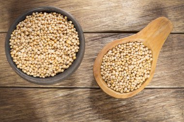 Hardal tohumu - Sinapis alba sarı