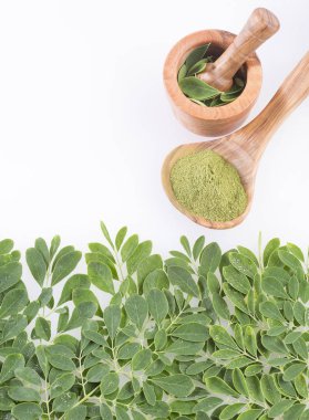 Taze yapraklar ve moringa tozu Moringa oleifera