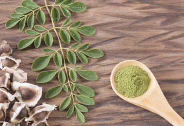 Taze yaprakları, toz ve moringa tohumlar - Moringa oleifera