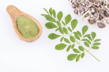 Organik moringa - Moringa oleifera