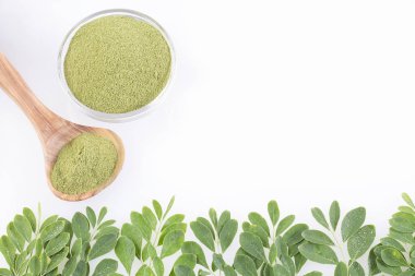 Organik moringa - Moringa oleifera