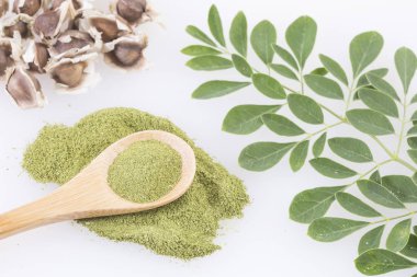 Organik moringa - Moringa oleifera