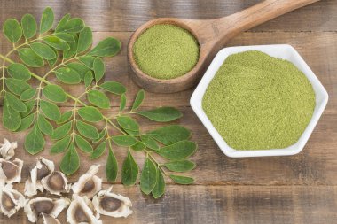 Taze yaprakları, toz ve moringa tohumlar - Moringa oleifera