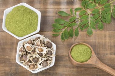 Taze yaprakları, toz ve moringa tohumlar - Moringa oleifera