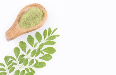 Taze yapraklar ve moringa tozu Moringa oleifera
