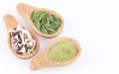 Taze yaprakları, toz ve moringa tohumlar - Moringa oleifera