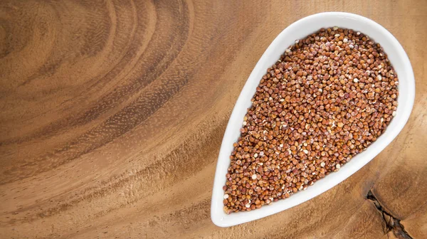 Sementes Quinoa Vermelha Chenopodium Quinoa — Fotografia de Stock