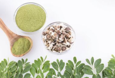 Moringa yaprak, tohum ve toz - Moringa oleifera