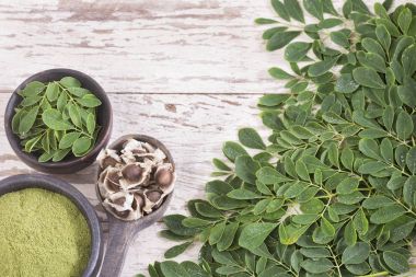 Moringa beslenme bitki - Moringa oleifera