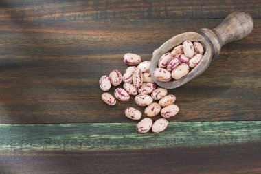 Ham pinto fasulye - Phaseolus vulgaris